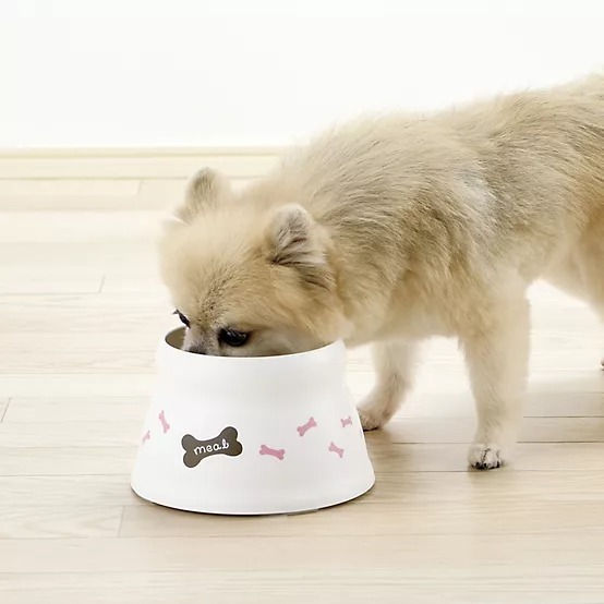 Richell 0.6-Cup Raised Polypropylene Bone Design Dog Bowl