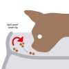 Richell 0.6-Cup Raised Polypropylene Bone Design Dog Bowl