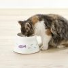 Richell 0.6-Cup Raised Polypropylene Fish-Patterned Cat Bowl