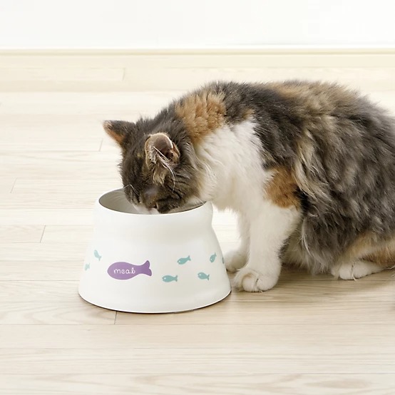Richell 0.6-Cup Raised Polypropylene Fish-Patterned Cat Bowl
