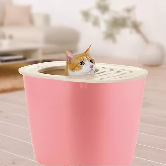 Richell Paw Trax Top Entry Cat Litter Box, Salmon Pink