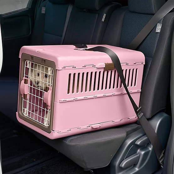 Richell 2-Door Foldable Polypropylene Pet Carrier