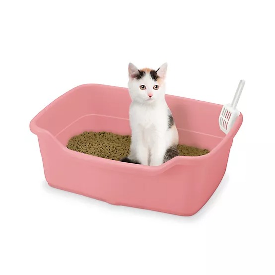 Richell Paw Trax Wide Cat Litter Pan