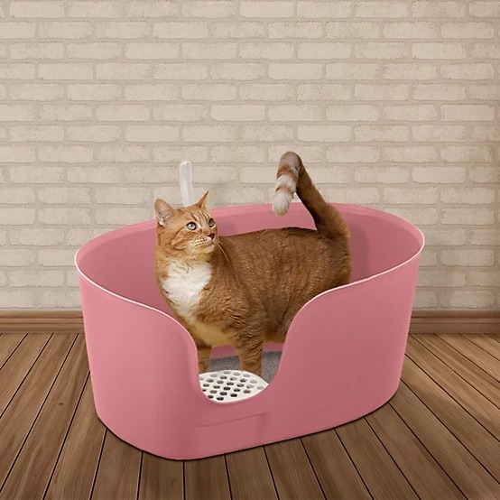Richell Paw Trax High-Wall Open Cat Litter Box, XL, Pink