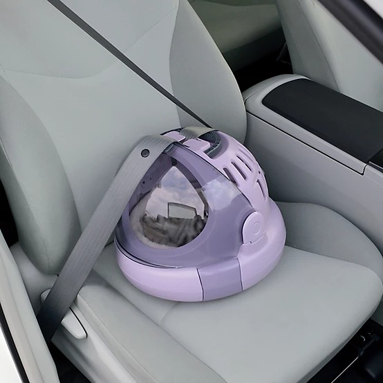 Richell Space Capsule Pet Carrier & Bed