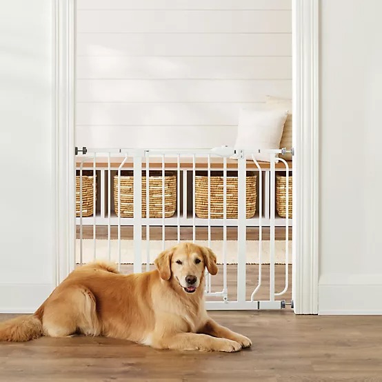Retriever Extra Wide Assembly Gate with Small Pet Door