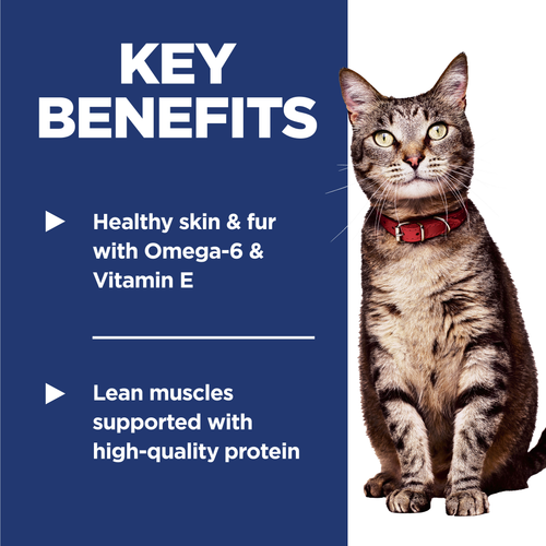 Adult Cat Food, Chicken Recipe