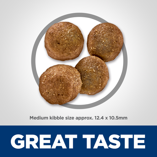 Adult Sensitive Stomach & Skin Dog Food, Chicken & Barley Recipe