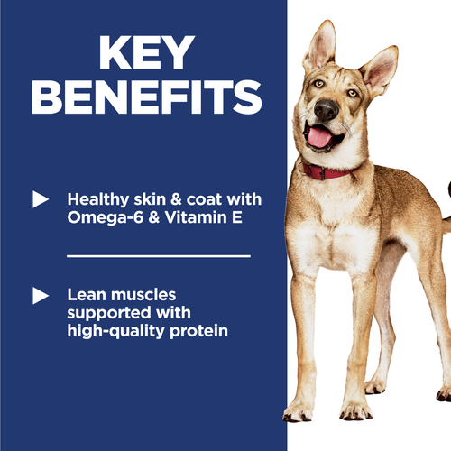 Adult Dog Food, Chicken & Barley Recipe