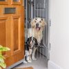 Front Doors,Keep Your Dog Safe at the Front Door — Without Compromising Style