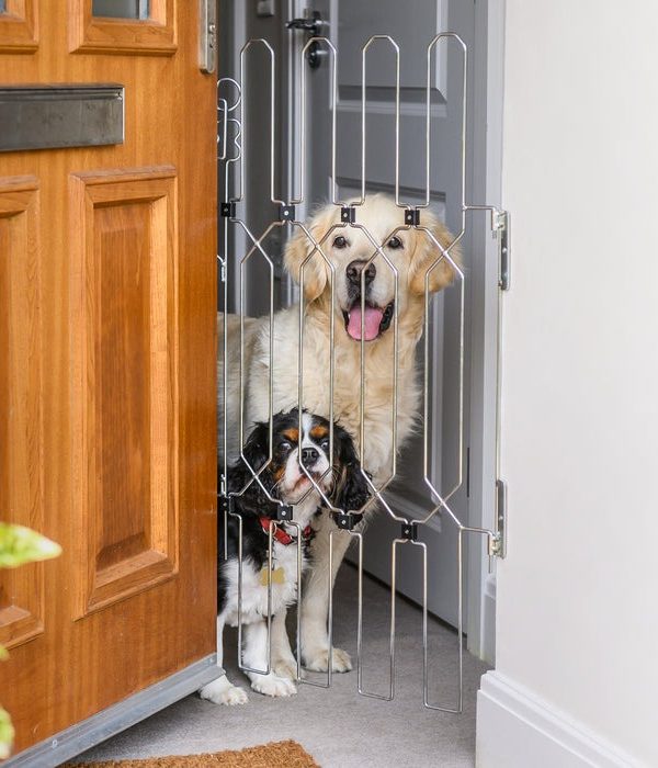 Front Doors,Keep Your Dog Safe at the Front Door — Without Compromising Style