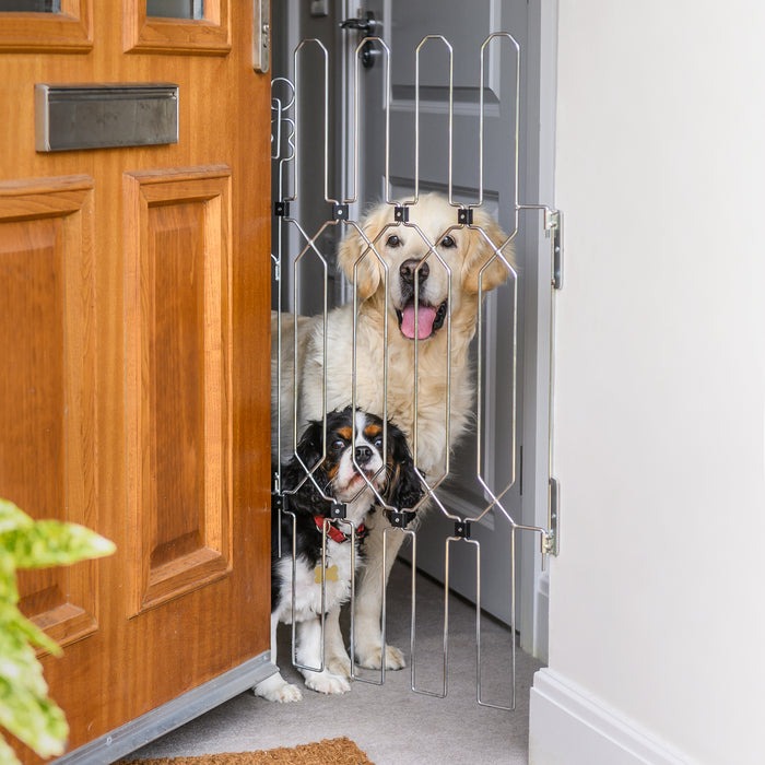 Front Doors,Keep Your Dog Safe at the Front Door — Without Compromising Style
