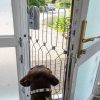 Front Doors,Keep Your Dog Safe at the Front Door — Without Compromising Style