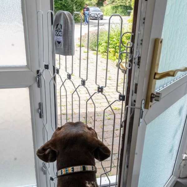 Front Doors,Keep Your Dog Safe at the Front Door — Without Compromising Style