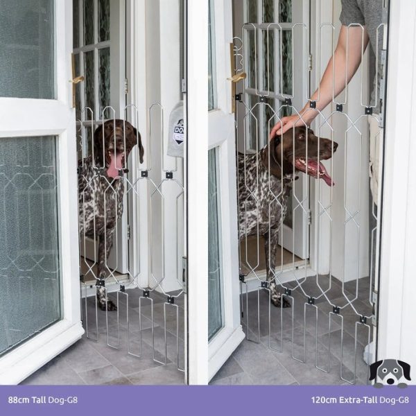 Front Doors,Keep Your Dog Safe at the Front Door — Without Compromising Style