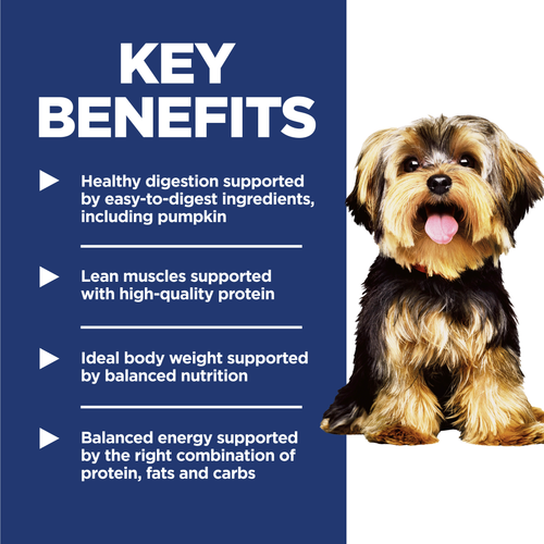 Adult Small & Mini Dog Food, Lamb Meal & Brown Rice Recipe