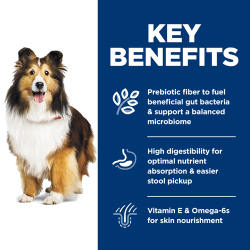 Adult Sensitive Stomach & Skin Dog Food, Chicken & Barley Recipe