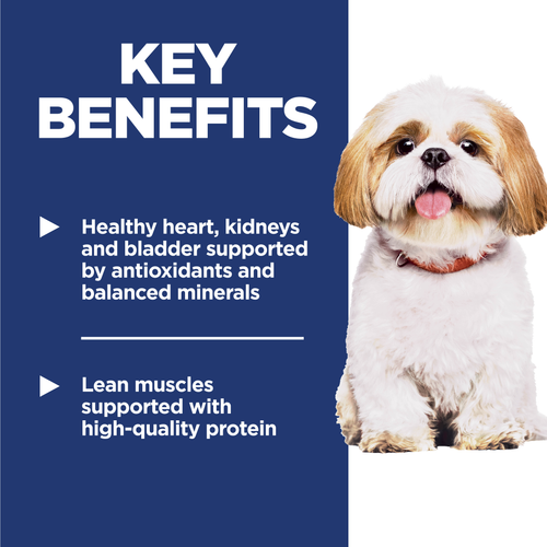 Senior 7+ Small Bites Dog Food, Chicken Meal, Barley & Rice Recipe