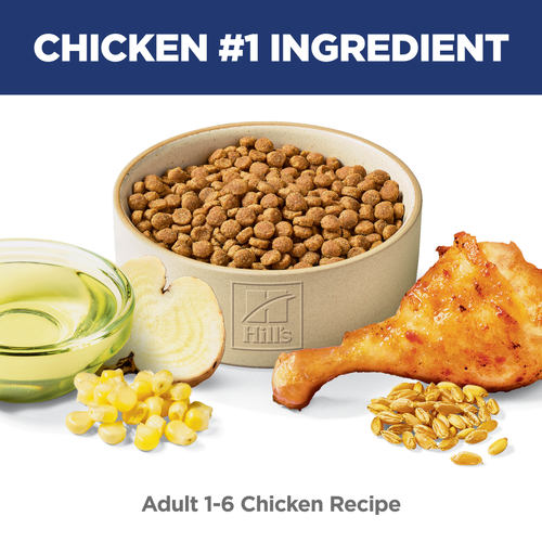 Adult Cat Food, Chicken Recipe